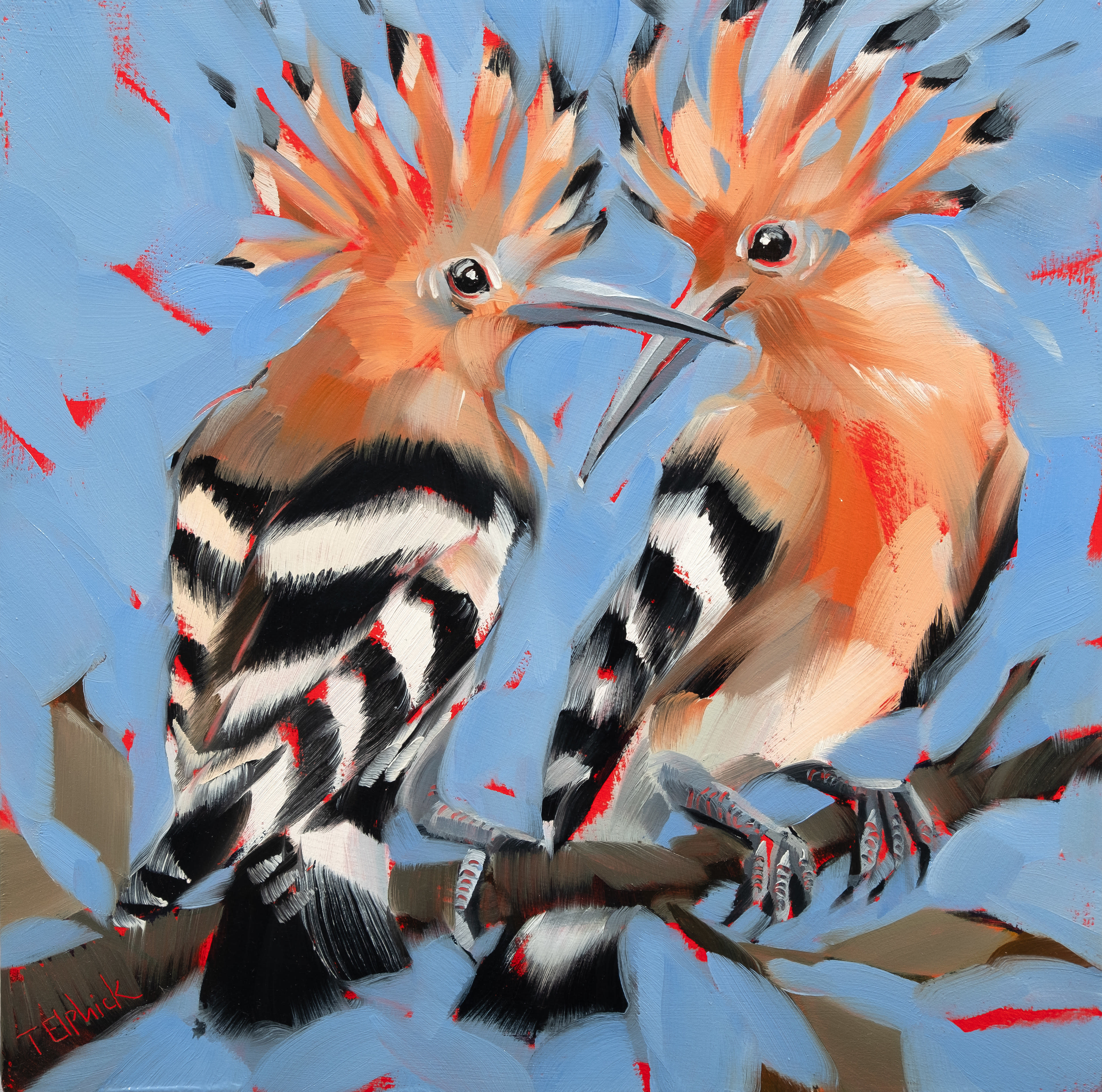 Hoopoes