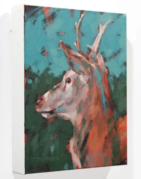 Red Deer Study II