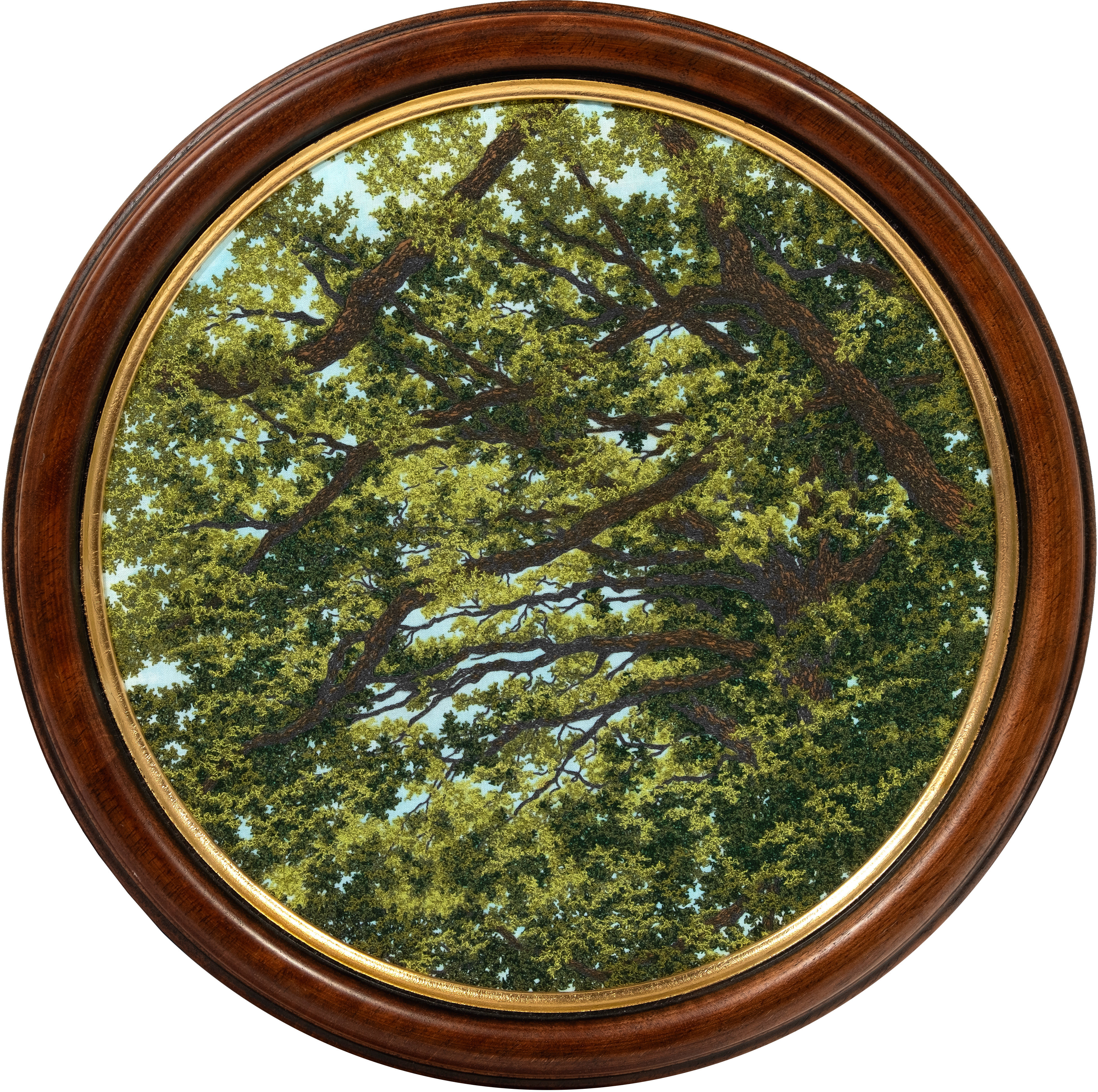 Hold Me in the Highest Bough