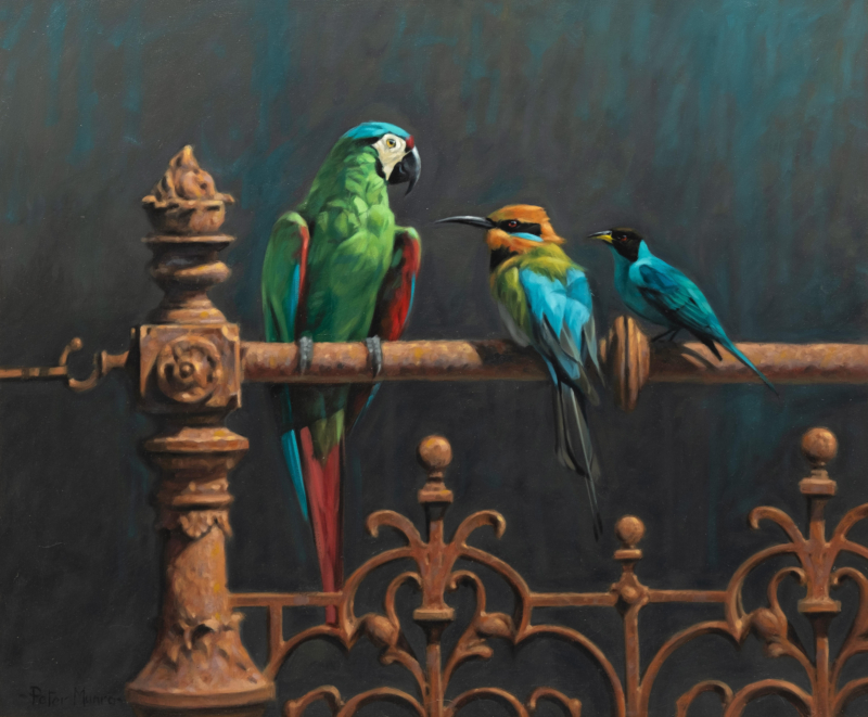 Peter Munro | Artist | Morningside Gallery Edinburgh