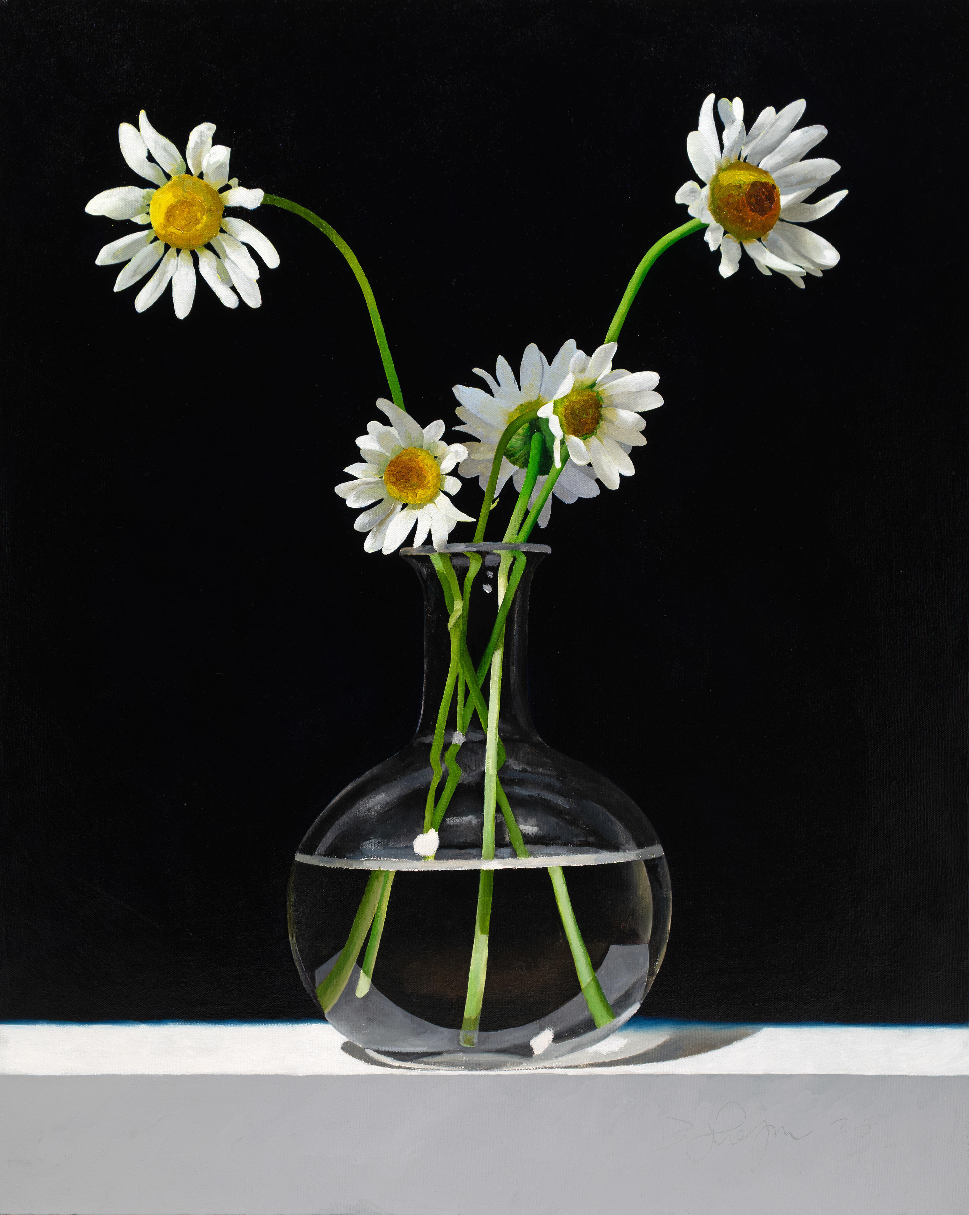 Oxeye Daisies