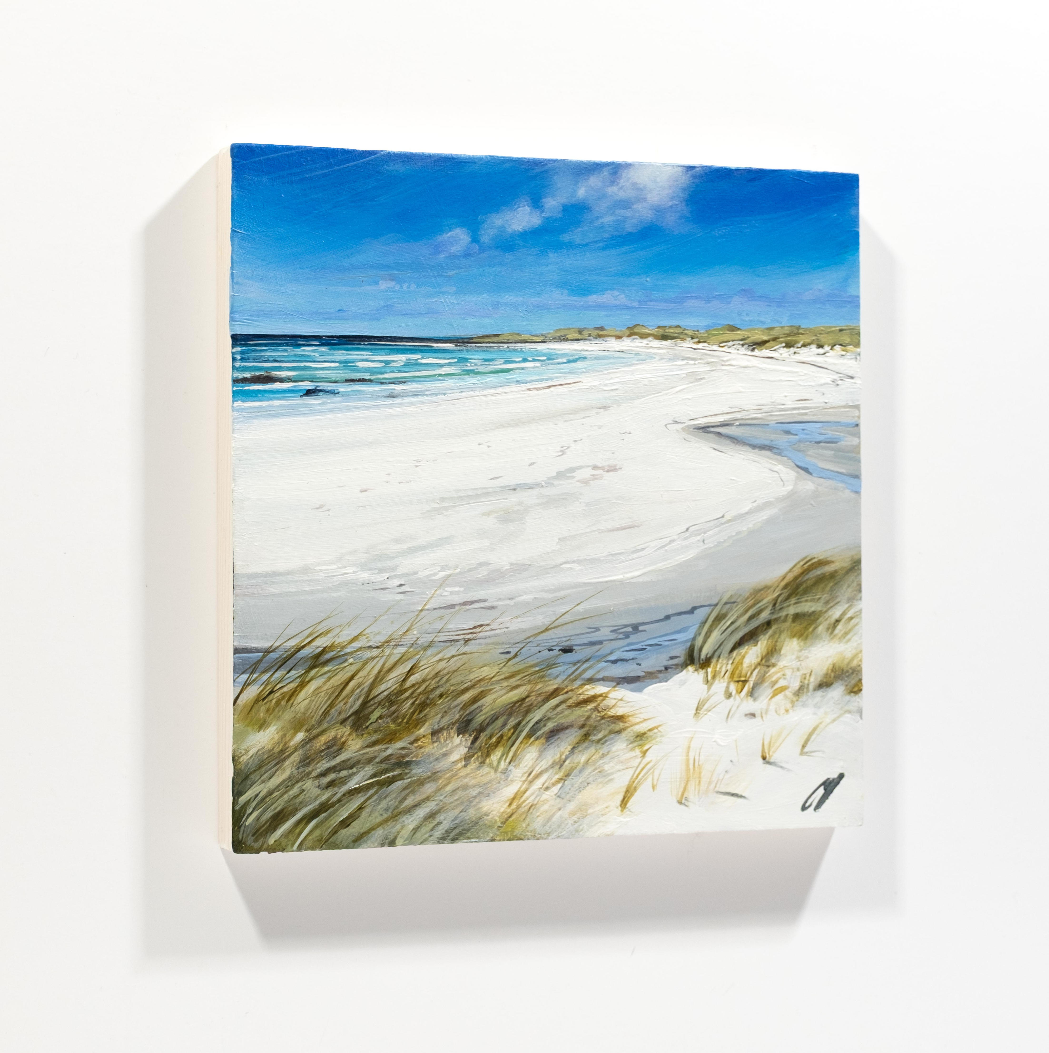 Beach Grasses Balevullin Tiree