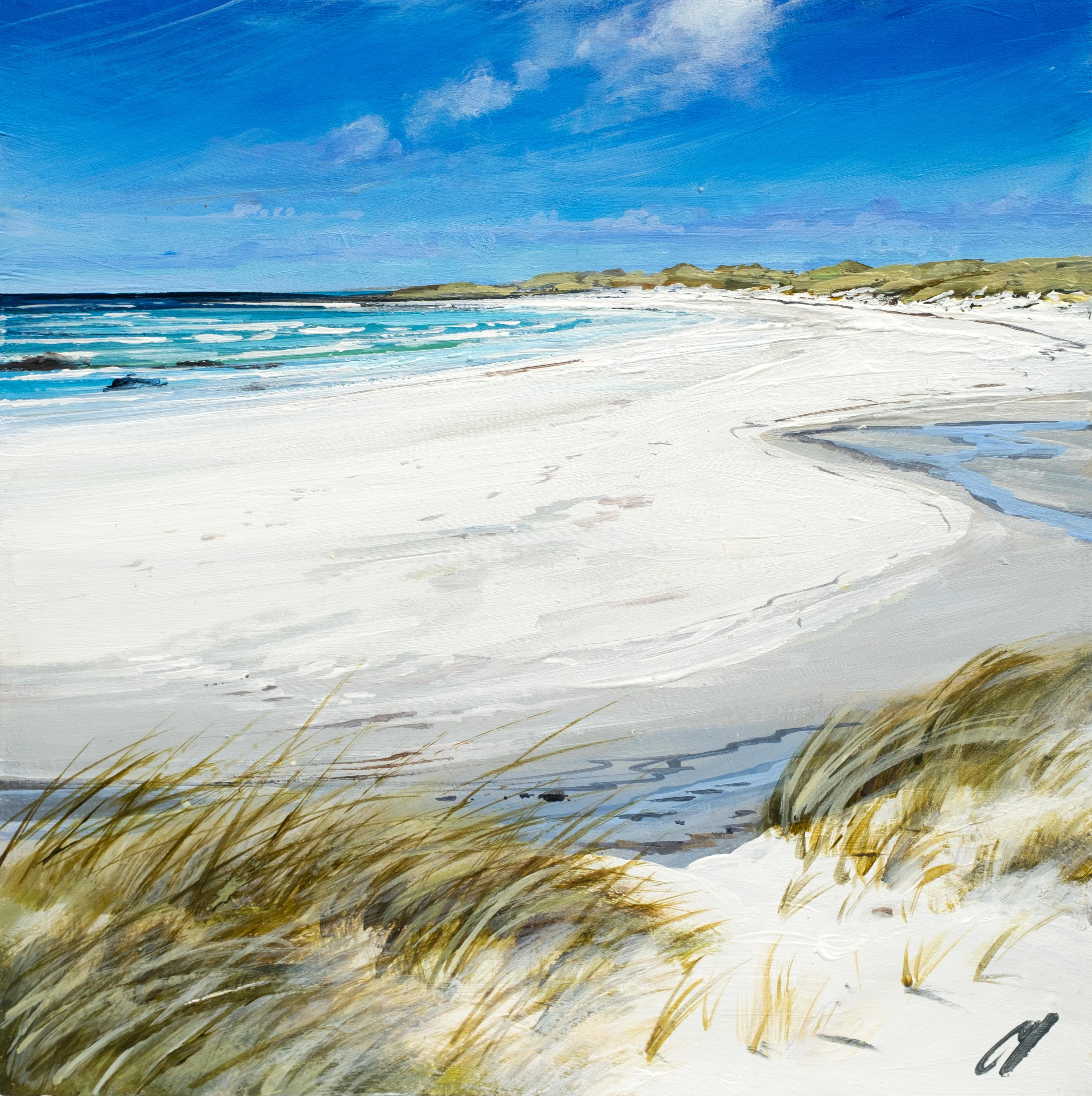 Beach Grasses Balevullin Tiree