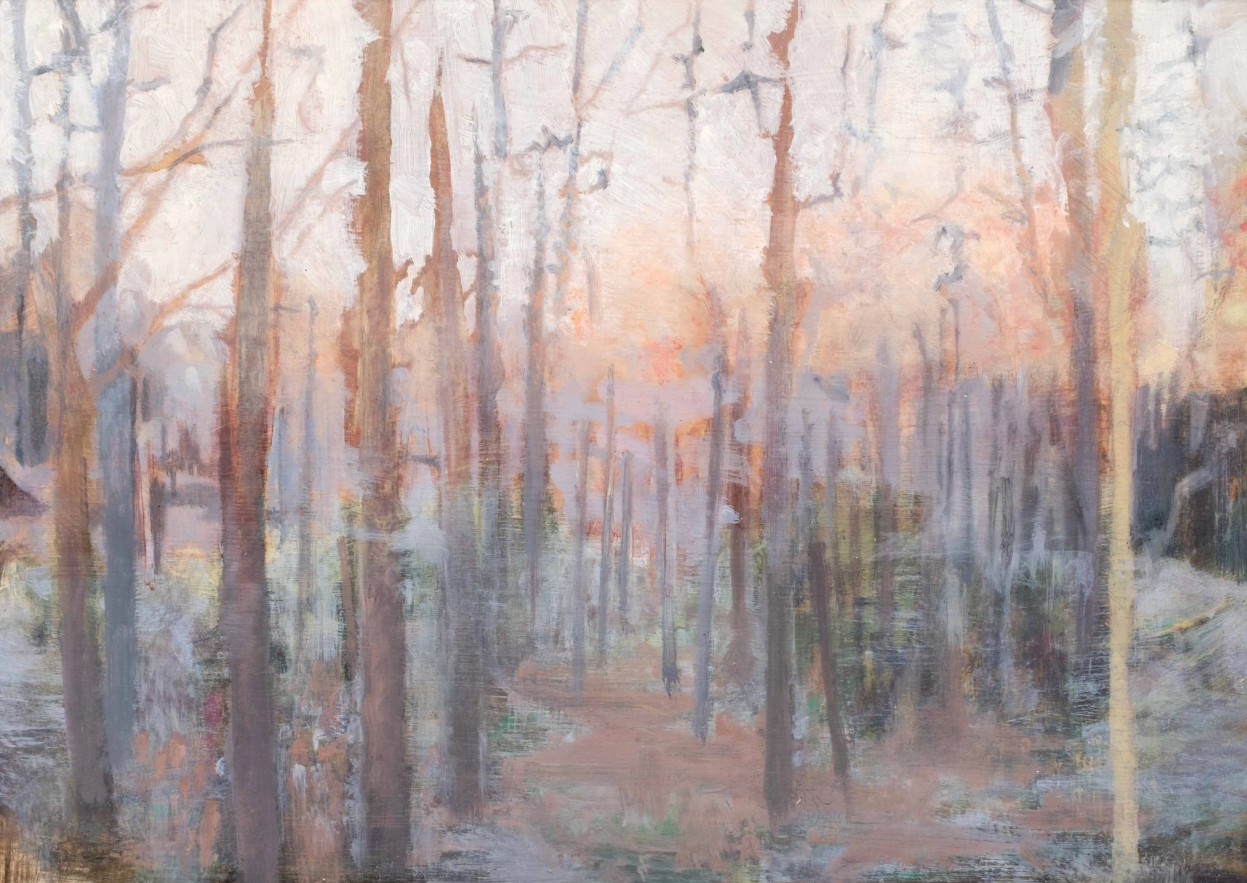 Winter Trees