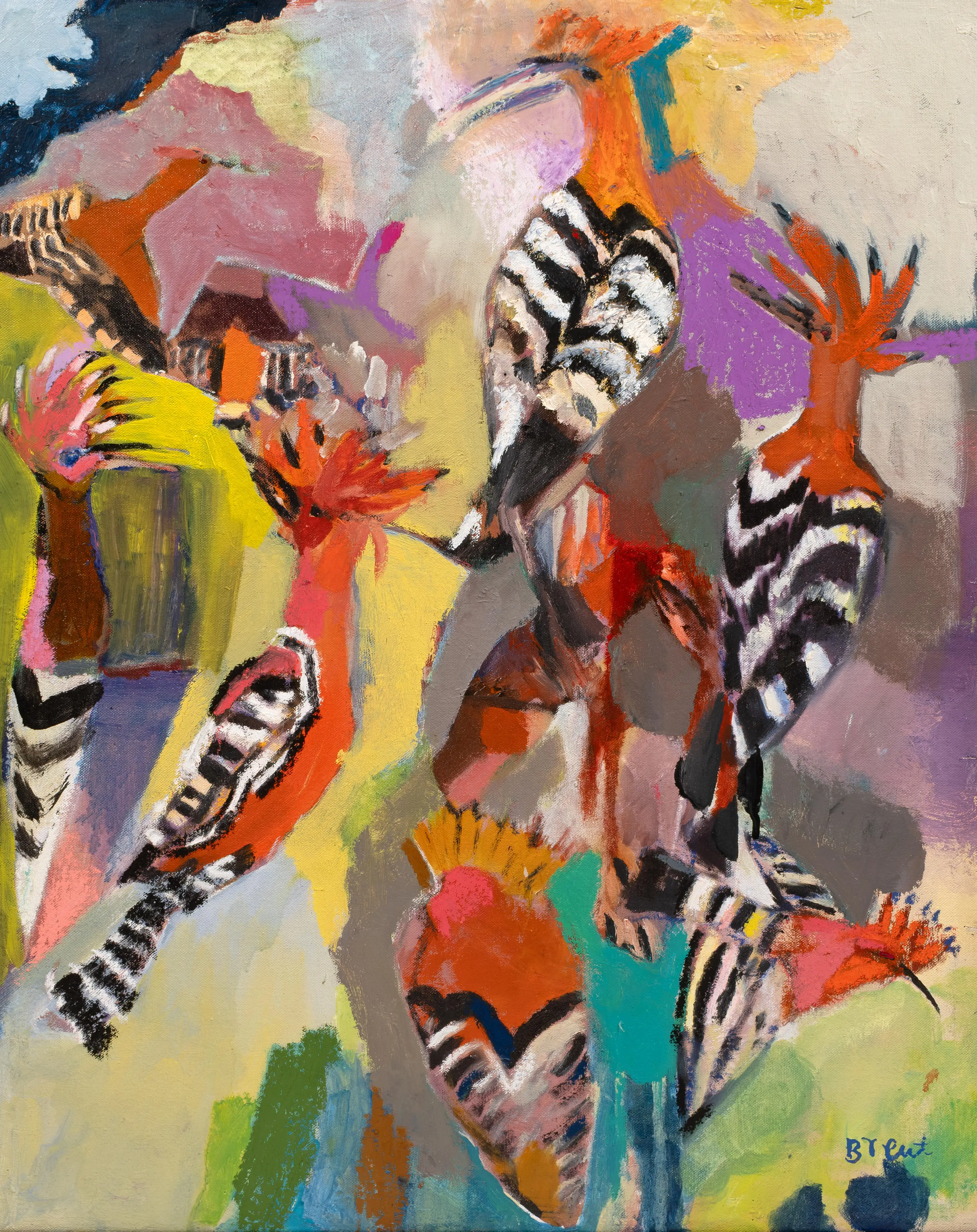 Hoopoe
